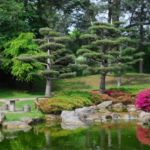 デュッセルドルフの”日本庭園“